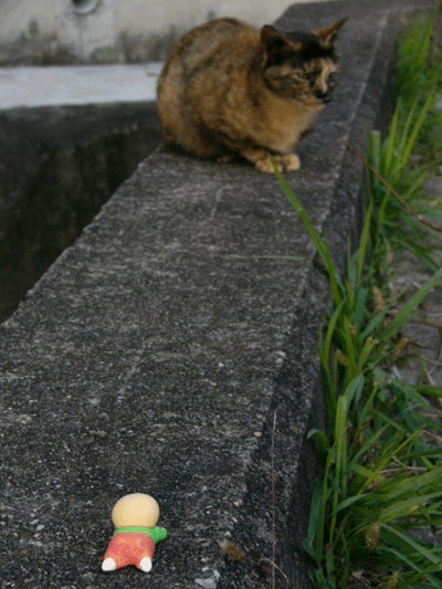 051122.gif