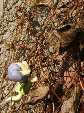 070115.gif